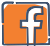 Facebook Icon
