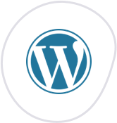 WordPress Experts