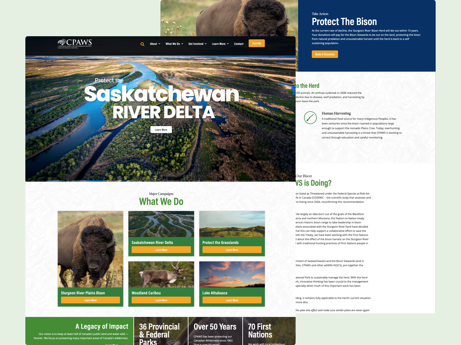 Featured image for “CPAWS”